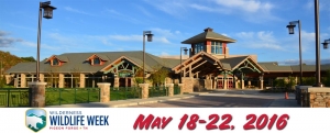 Pigeon Forge Wilderness Wildlife Week 2016 at LeConte Center