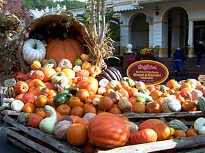 2016 Fall Festival at Dollywood TN