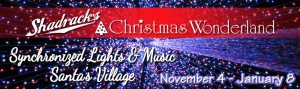Sevierville TN Christmas Lights Show
