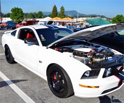 Ford Mustang Car Show