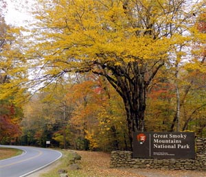 Thanksgiving in the Great Smoky Mountains National Park