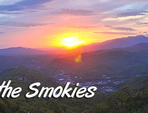 Easter in the Smokies