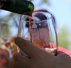 Gatlinburg Wine Tour and Smoky Mountain Winefest Weekend