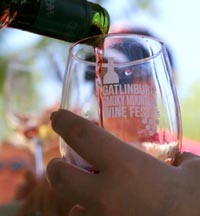 Smoky Mountain Winefest and Gatlinburg Wine Tour