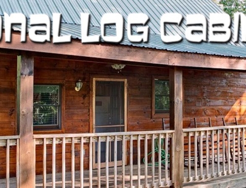 National Log Cabin Day